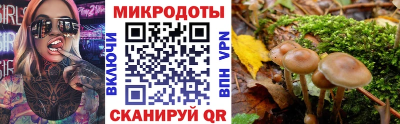 Псилоцибиновые грибы мухоморы Назарово
