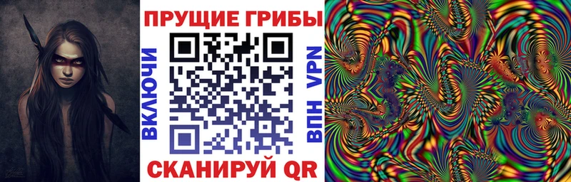 Галлюциногенные грибы Psilocybe  OMG ТОР  Назарово  закладка 